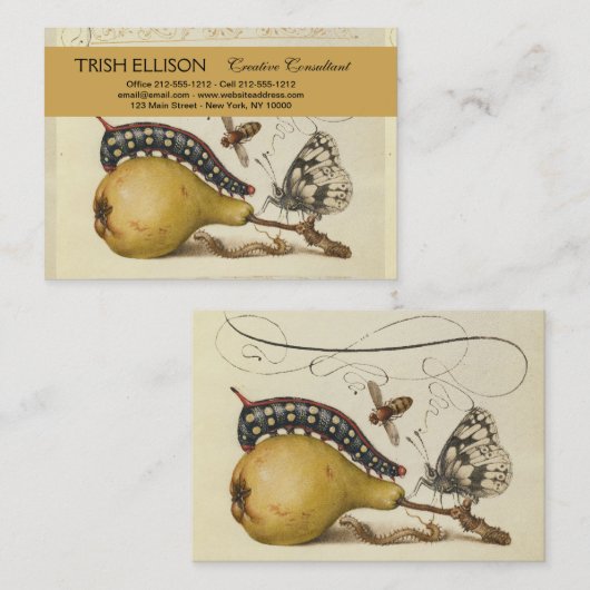 Illustratie ter illustratie van de insekte van vli visitekaartje (Voorkant / Achterkant)