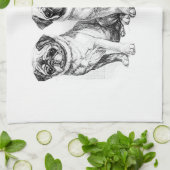  illustratie theedoek (Gevouwen)