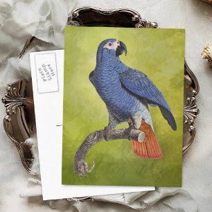 illustratie Tropische papegaai Briefkaart