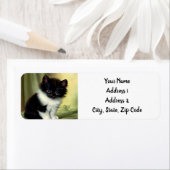 illustratie Tuxedo Kitten Etiket (Insitu)