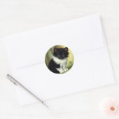  illustratie Tuxedo Kitten Ronde Sticker (Envelop)
