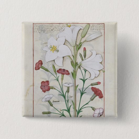 Illustratie uit het 'Boek van Eenvoud' Vierkante Button 5,1 Cm (Voorkant)