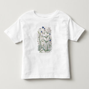 Illustratie uit het "Boek van eenvoudige geneesmid Kinder Shirts
