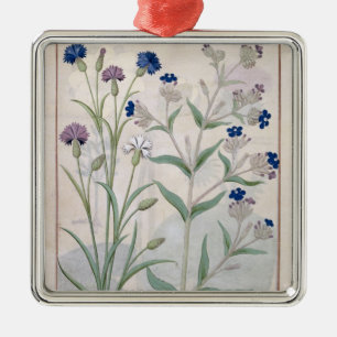 Illustratie uit het "Boek van eenvoudige geneesmid Metalen Ornament