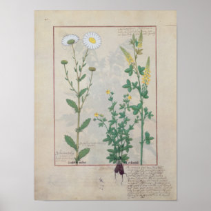 Illustratie uit 'The Book of Simple' Poster