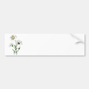  illustratie van 1902 dagen oude wilde bloem bumpersticker