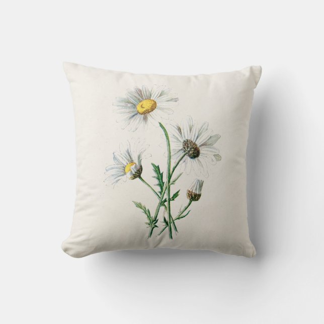  illustratie van 1902 dagen oude wilde bloem kussen (Voorkant)