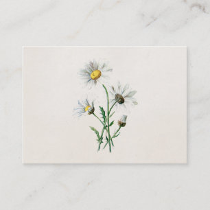 illustratie van 1902 dagen oude wilde bloem visitekaartje