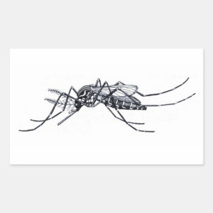illustratie van Aedes aegypti Rechthoekige Sticker