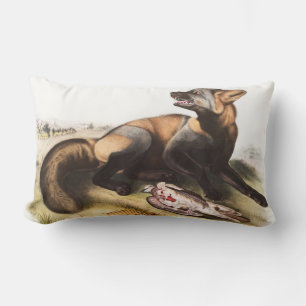 Illustratie van American Cross Fox (Canis vulpes) Kussen