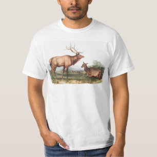 Illustratie van Amerikaanse Eland (Cervus Canadens T-shirt