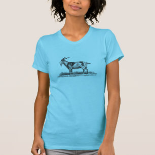 Illustratie van  binnenlandse geiten - geiten van  t-shirt