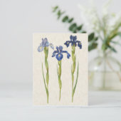  illustratie van botanische blauwe iris briefkaart (Staand voorkant)