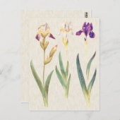 illustratie van botanische iris briefkaart (Voorkant / Achterkant)