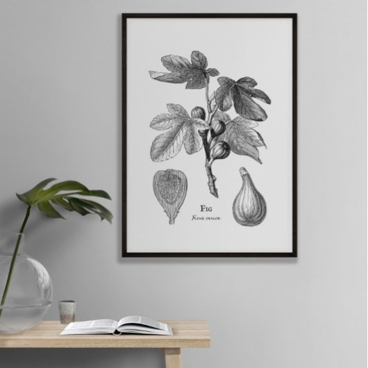illustratie van botanische tekening poster