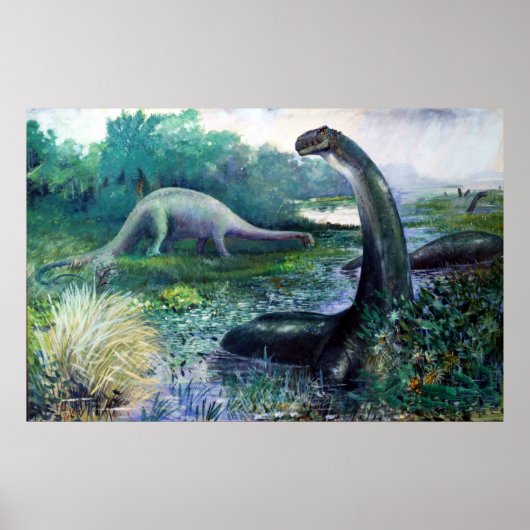 Illustratie van Brontosaurus Poster (Voorkant)