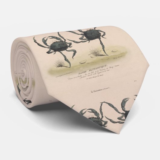  illustratie van danskrabben (1849) stropdas (Opgerold)