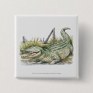 Illustratie van de alligator aan de wal vierkante button 5,1 cm