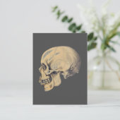 illustratie van de anatomie van de schedel briefkaart (Staand voorkant)