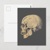 illustratie van de anatomie van de schedel briefkaart (Voorkant / Achterkant)