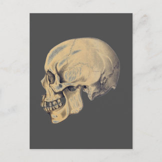 illustratie van de anatomie van de schedel briefkaart