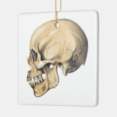  illustratie van de anatomie van de schedel keramisch ornament (Links)