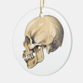  illustratie van de anatomie van de schedel keramisch ornament (Links)