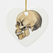  illustratie van de anatomie van de schedel keramisch ornament (Achterkant)