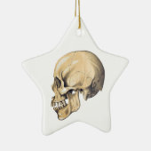  illustratie van de anatomie van de schedel keramisch ornament (Rechts)