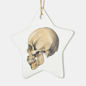  illustratie van de anatomie van de schedel keramisch ornament (Links)