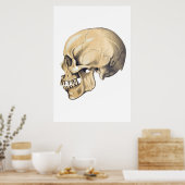  illustratie van de anatomie van de schedel poster (Keuken)