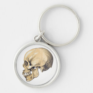illustratie van de anatomie van de schedel sleutelhanger