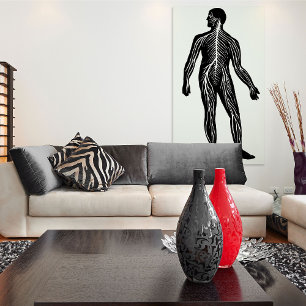 Illustratie van de anatomie van het menselijk zenu poster