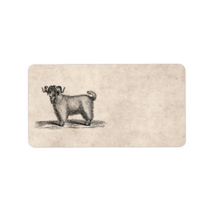Illustratie van de angoragegeit - 1800 geiten etiket