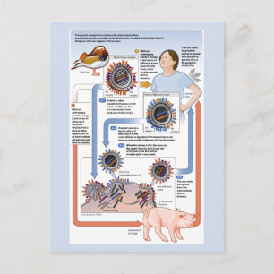 Illustratie van de antigene verschuiving (influenz briefkaart