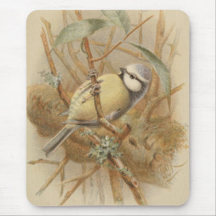 illustratie van de Bluetit Muismat