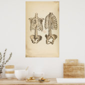 illustratie van de Botten van de boomstam Poster (Keuken)