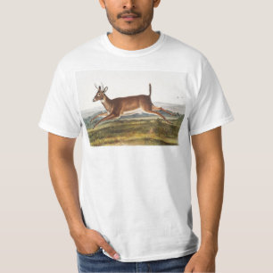 Illustratie van de diepzeeduier met lange staart ( t-shirt