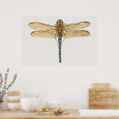 Illustratie van de Dragonfly Poster (Keuken)