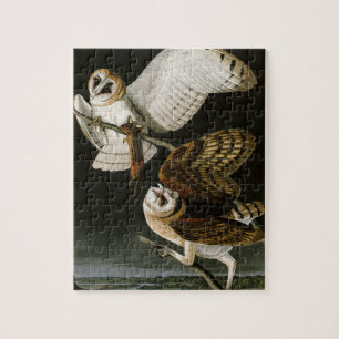Illustratie van de eigenaar van Barn (Audubon) Legpuzzel