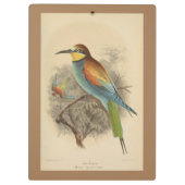 illustratie van de Europese bijeneter Klembord (Achterkant)