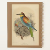 illustratie van de Europese bijeneter Planner (Achterkant)