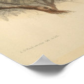  illustratie van de Europese bijeneter Poster (Hoek)