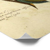  illustratie van de flessenperen van Posters van v (Hoek)