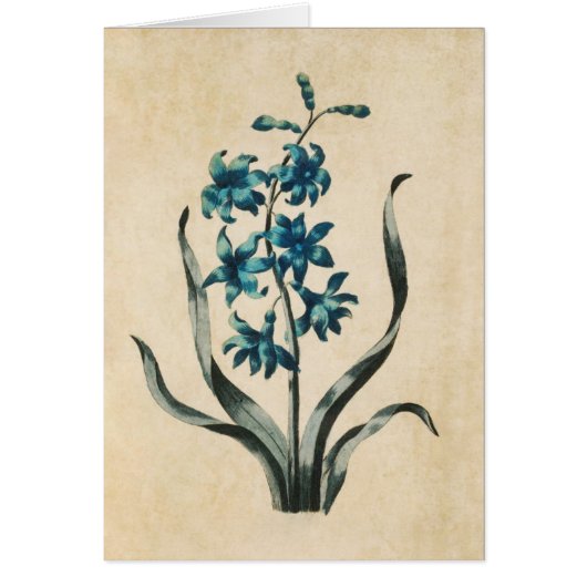  illustratie van de flessenverlichting (Voorkant)