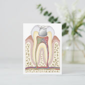 Illustratie van de gebitsvulling briefkaart (Staand voorkant)