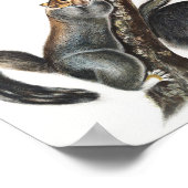 Illustratie van de kat-eekhoorn (Sciurus cinereus) Poster (Hoek)