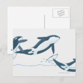 Illustratie van de Killer Whales (Orcinus orca) Briefkaart (Voorkant / Achterkant)
