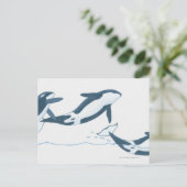 Illustratie van de Killer Whales (Orcinus orca) Briefkaart (Staand voorkant)