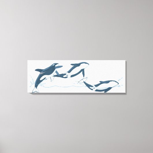 Illustratie van de Killer Whales (Orcinus orca) Canvas Afdruk (Voorkant)